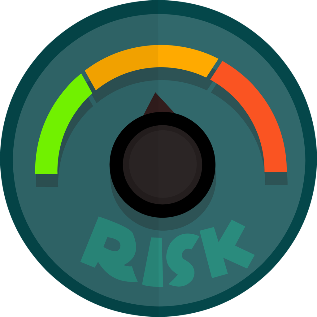 it risk management